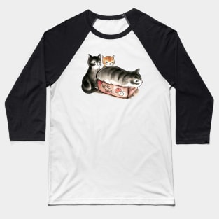 Cat in box Baseball T-Shirt